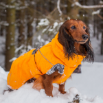 Expedition Parka oranžová, Hurtta Velikost: 30