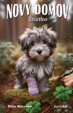 Nový domov – Štístko
