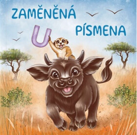 Zaměněná písmena - Lucie Strnadová