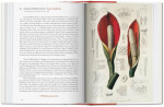 Garden Eden. Masterpieces of Botanical Illustration. 40th Anniversary Edition Hans Walter Lack