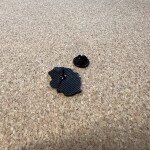 Pinarna.cz Naštvaný medvěd