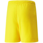 Dětské šortky TeamRise Short Jr 704943 07 Puma