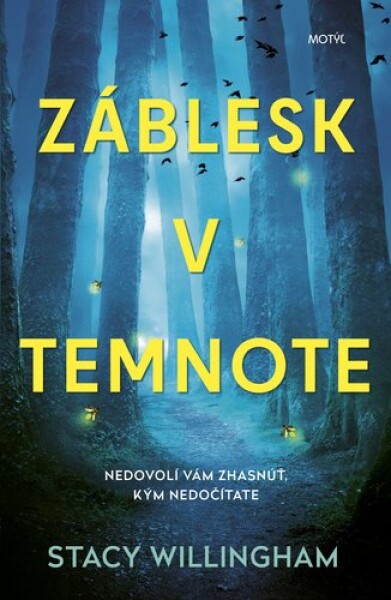 Záblesk temnote