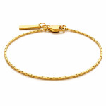 Pánský náramek Tobias Gold - ocelový řetízek, chirurgická ocel, Zlatá 18 cm + 2 cm (prodloužení)