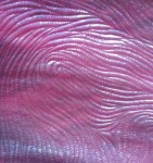 Dortisimo Strukturální fólie Mouvance 25 x 40 cm ST17