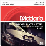 D'Addario EJ63i