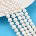 Přírodní sladkovodní perla - mušlově bílá - 7 ~ 8 mm - třída AA - 1 ks