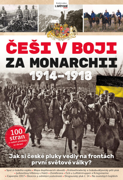 Češi v boji za Monarchii 1914-1918 - Kolektiv