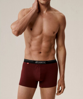 Boxerky Atlantic 3MH-011/25 A'3 S-2XL fialovo-černo-khaki XL