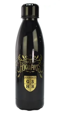Blue Sky Studios Láhev Harry Potter / Láhev / 650 ml (5056563712862)