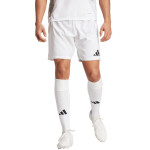 Šortky adidas Tiro 24 Competition Match M IQ4756 L