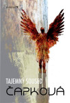 Tajemný soused - Monika J. Čapková