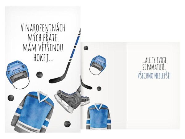 Přání k narozeninám vše nejlepší hokej Přání k narozeninám vše nejlepší hokej