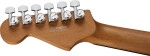 Charvel Pro-Mod Plus DK24 HH 2PT EB EBY CLSTL SLK