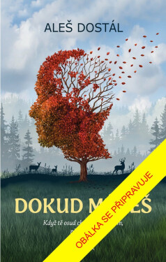 Dokud můžeš - Aleš Dostál