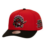 Mitchell & Ness Pánská kšiltovka Toronto Raptors NBA In The City Pro Snapback Hwc