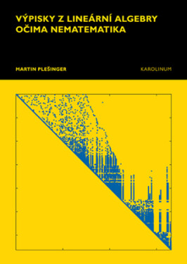 Výpisky z lineární algebry očima nematematika - Martin Plešinger - e-kniha