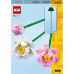 LEGO® Botanicals 40647 Lotosové květy