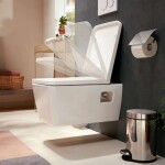 HANSGROHE - EluPura Original Q Závěsné WC se sedátkem SoftClose, Rimless, AquaChannel Flush, SmartClean, bílá 61182450