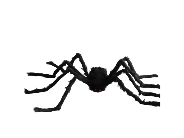Dovoz Pavouk chlupatý černý Barva: 50 cm