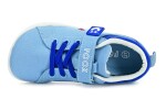 Fooz Tavu Blue