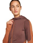 ICEBREAKER Wmns Mer 200 Realfleece Descender LS Zip H, Dusty Clay/Carob/Cb (vzorek) velikost: S