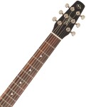Seagull Entourage Rustic Burst CH CW EQ