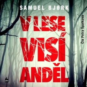 V lese visí anděl - Samuel Bjørk - audiokniha