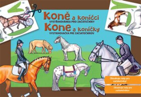 Koně koníčci pro začátečníky