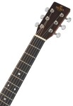 Sigma Guitars DSME