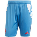 Pánské šortky adidas France Gym blue JC7182 L