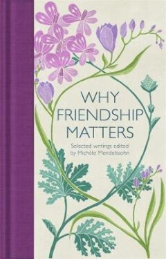 Why Friendship Matters : Selected Writings - Michele Mendelssohn