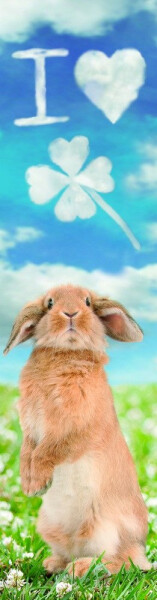 Záložka 3D - Miluji čtyřlístky