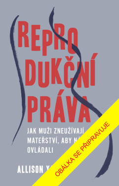 Reprodukční práva - Jak muži zneužívají mateřství, aby nás ovládali - Allison Yarrow