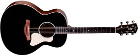 Taylor Gold Label 514e Blacktop