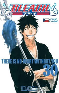 Bleach 30