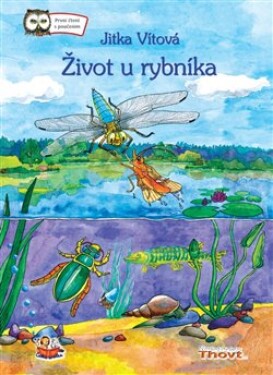 Život rybníka Jitka Vítová