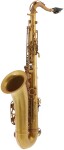 Eastman ETS223V