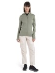 Dámská merino mikina s kapucí ICEBREAKER Wmns 260 Quantum IV LS Zip Ho, Lichen velikost: S