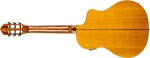Ortega RCE170F-L