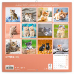 Presco Group Poznámkový kalendář Koťata 2024 - Kalendarium: západní / 30 × 30 cm (PGP-32554-Z)