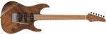 Ibanez TQM1 Natural