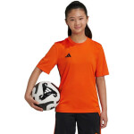 Adidas Table 23 Jersey Jr JJ1157 tričko 116cm