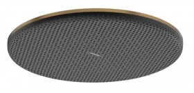 HANSGROHE - Raindance Alive S Hlavová sprcha, průměr 30 cm, EcoSmart+, kartáčovaný bronz 24523140