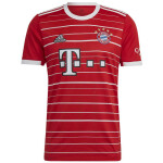 Pánské tričko adidas FC Bayern H Jsy M H39900 XL