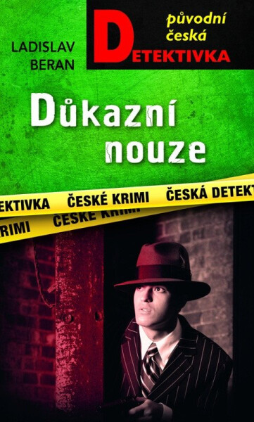 Důkazní nouze - Ladislav Beran