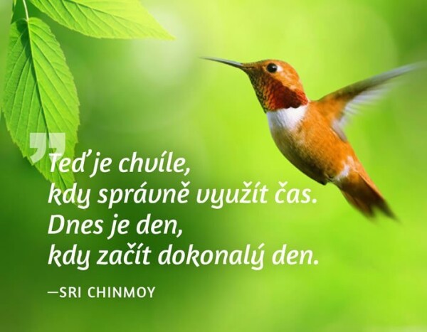 Magnet na lednici - Teď je chvíle, kdy správně využít čas. Dnes je den, kdy začít dokonalý den. - Sri Chinmoy