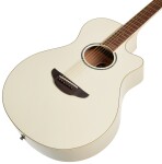 Yamaha APX600 VW