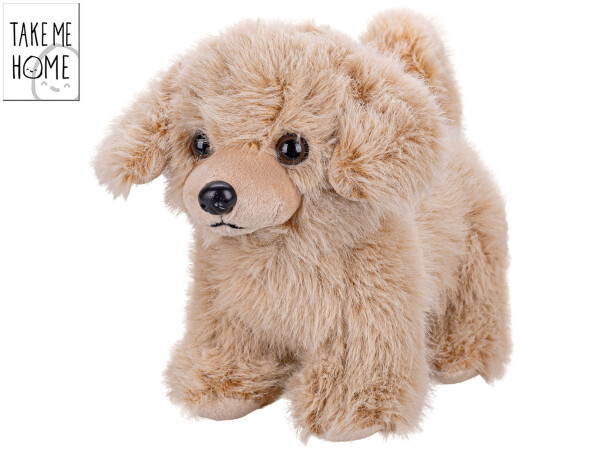 Plyšový pes Take Me Home stojící 22 cm