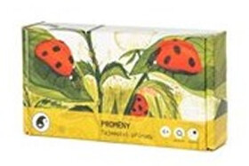 Proměny - Tajemství přírody - Jitka Musilová